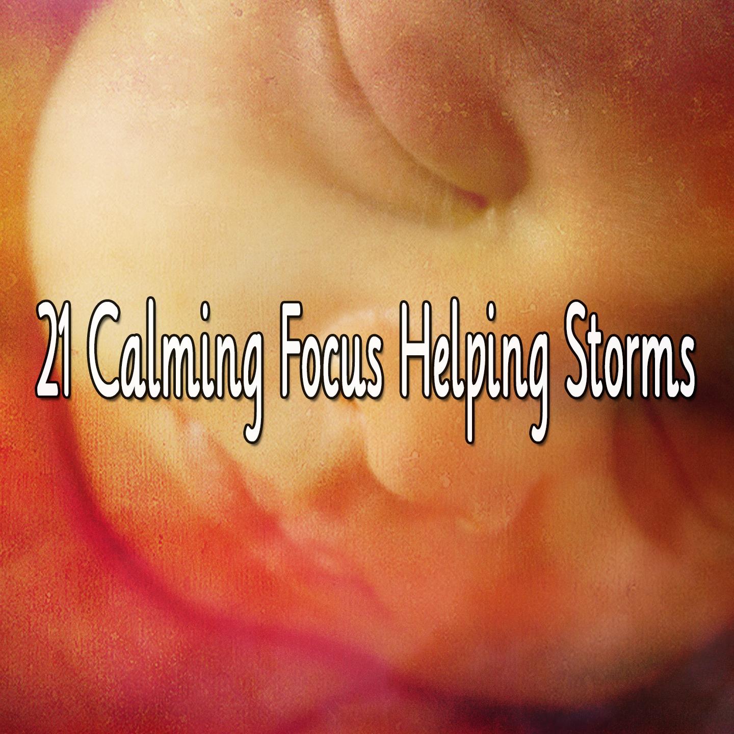 21 Calming Focus Helping Storms