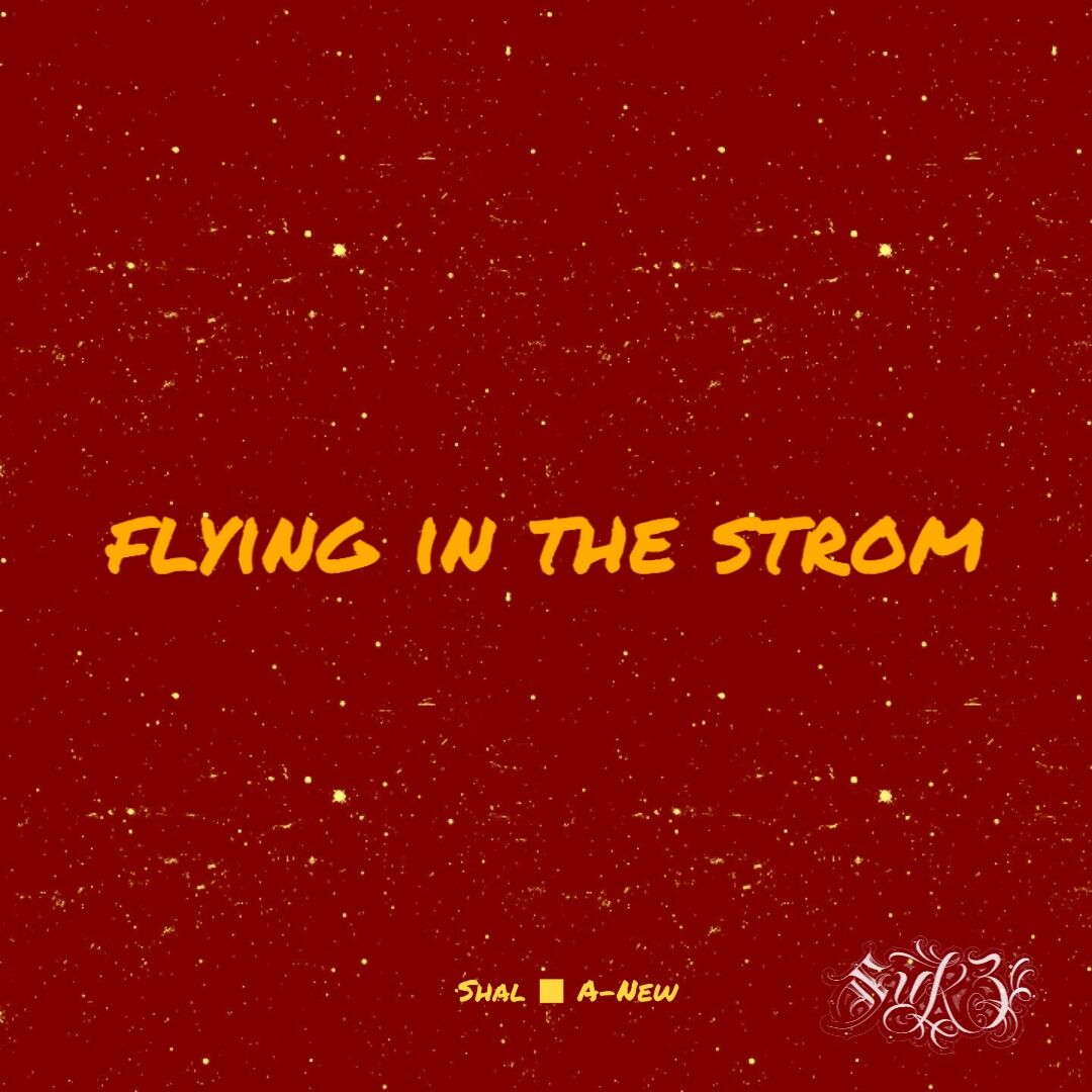 Flying In The Storm