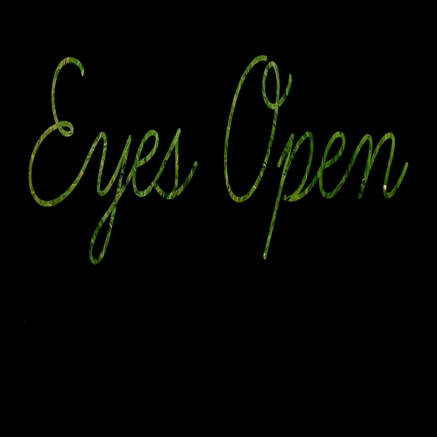 Eyes Open - Single (Taylor Swift Tribute)