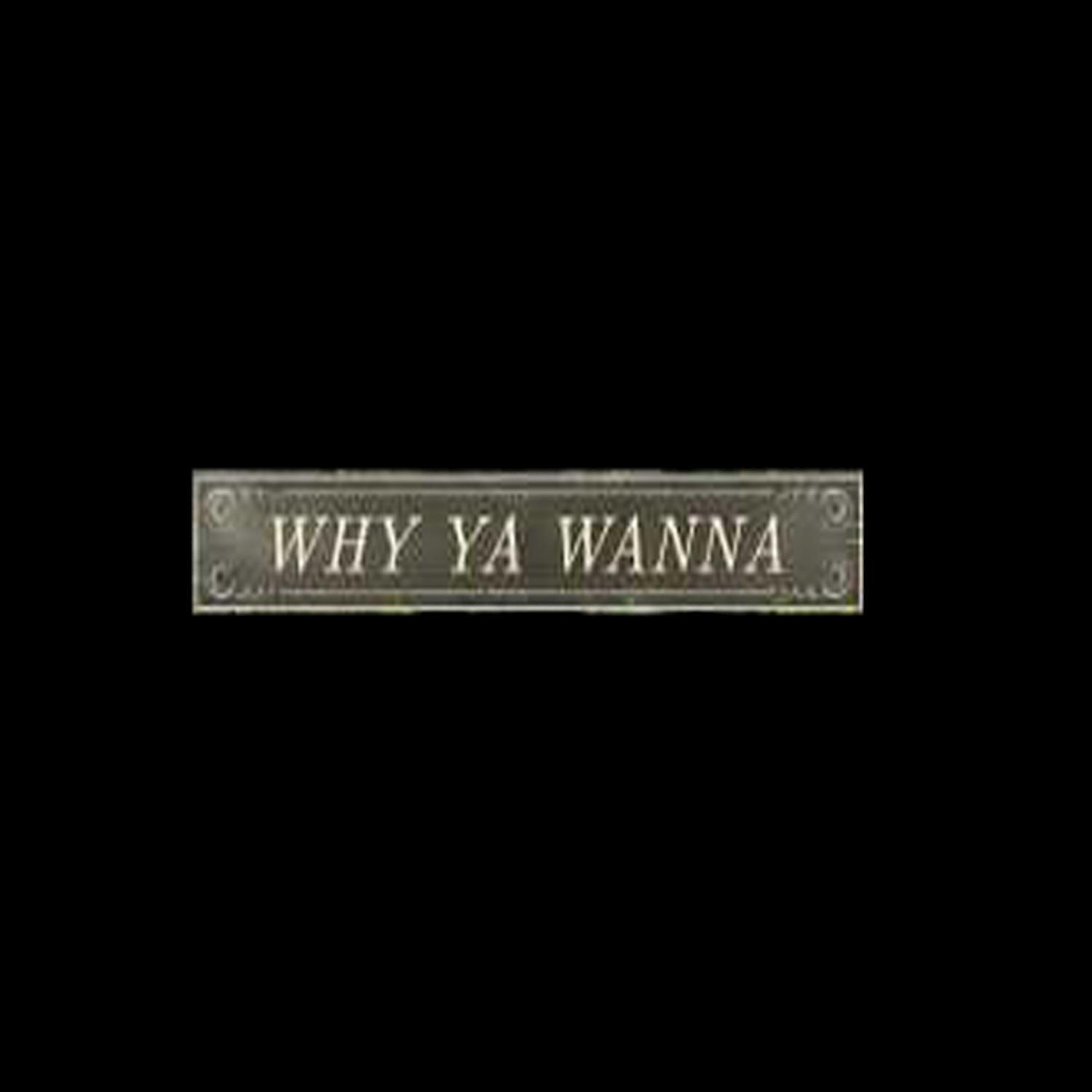 Why Ya Wanna - Single (Jana Kramer Tribute)