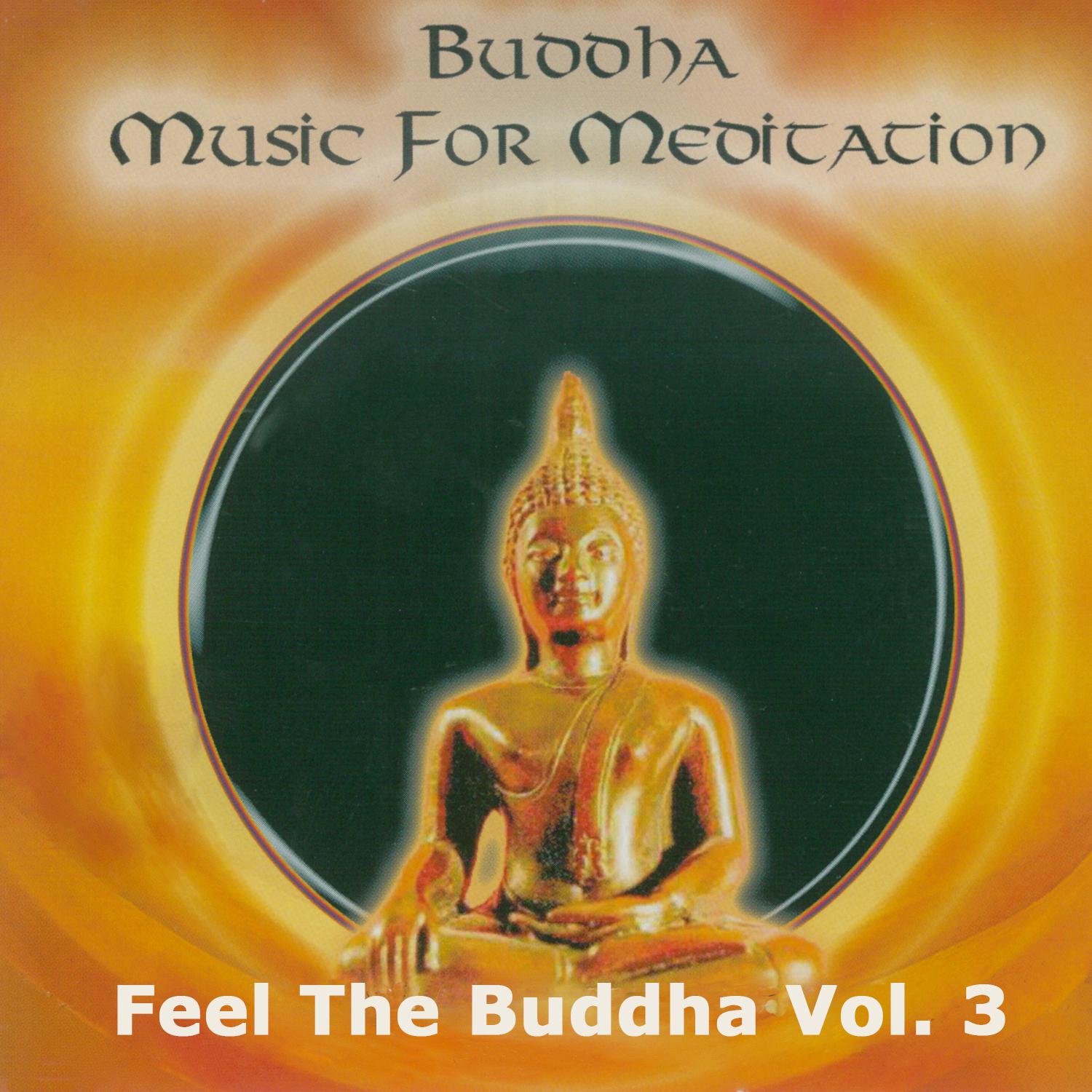 Feel the Buddha, Vol. 3