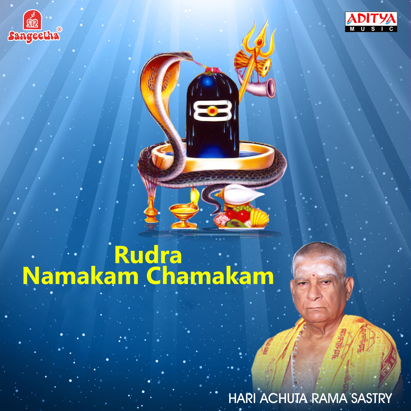 Rudra Namakam Chamakam