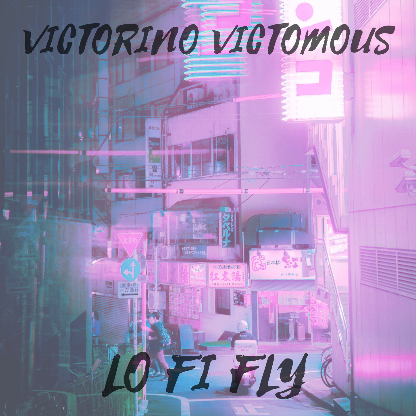 LO FI FLY