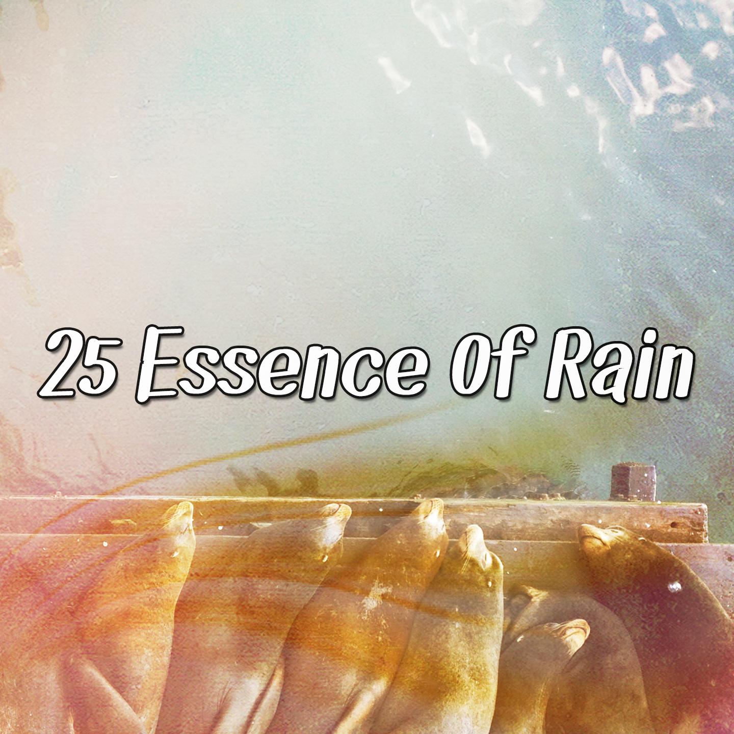 25 Essence Of Rain