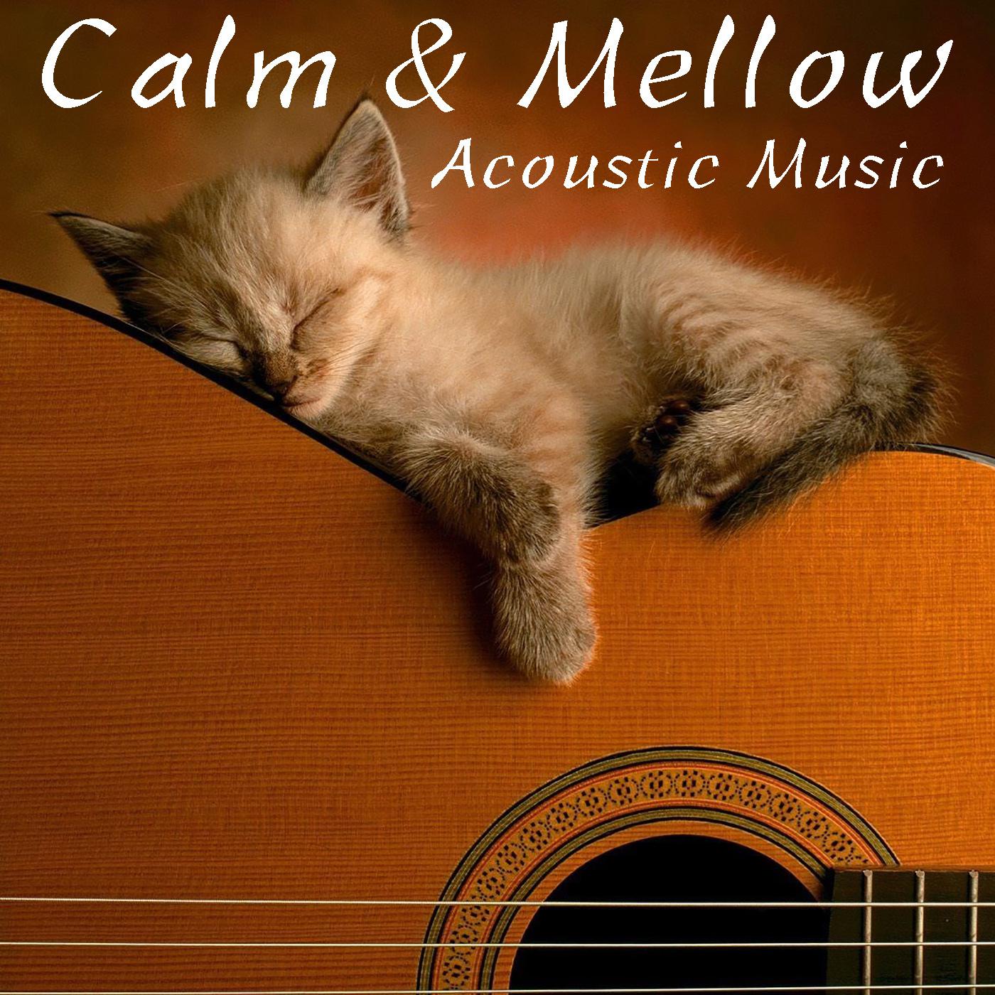 Calm & Mellow: Acoustic Music