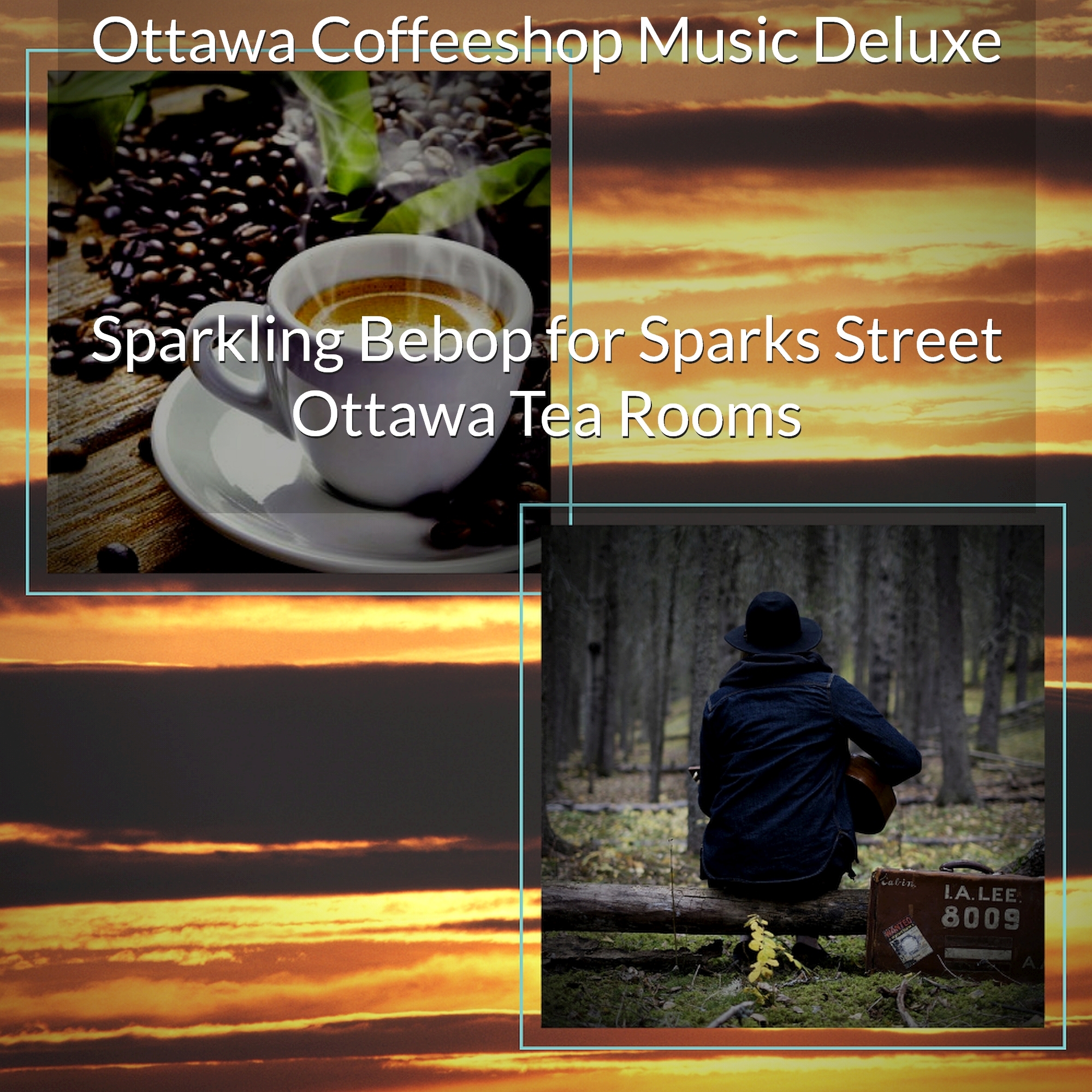 Modish Soundscapes for Downtown Ottawa Cafes