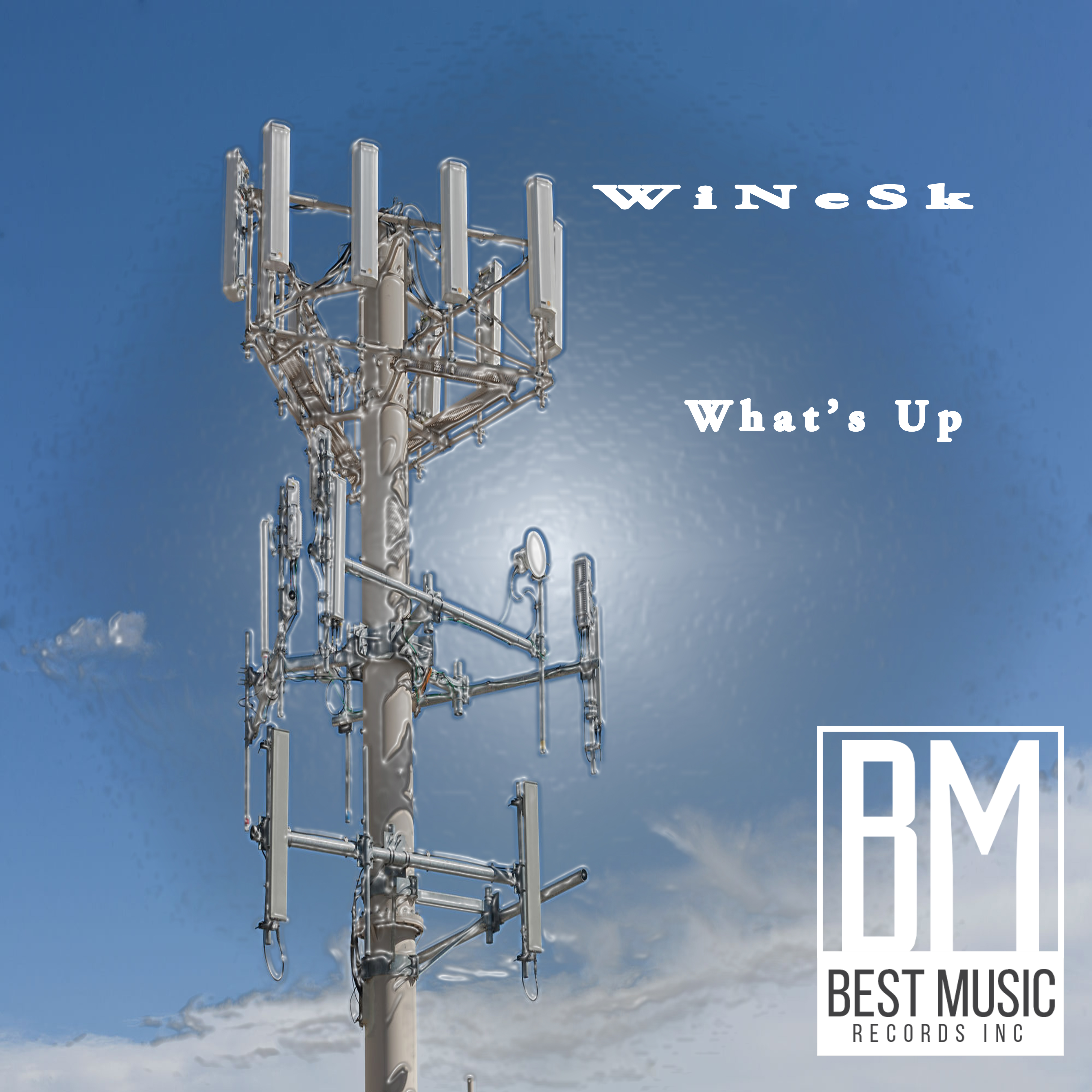 WiNeSk - What's Up