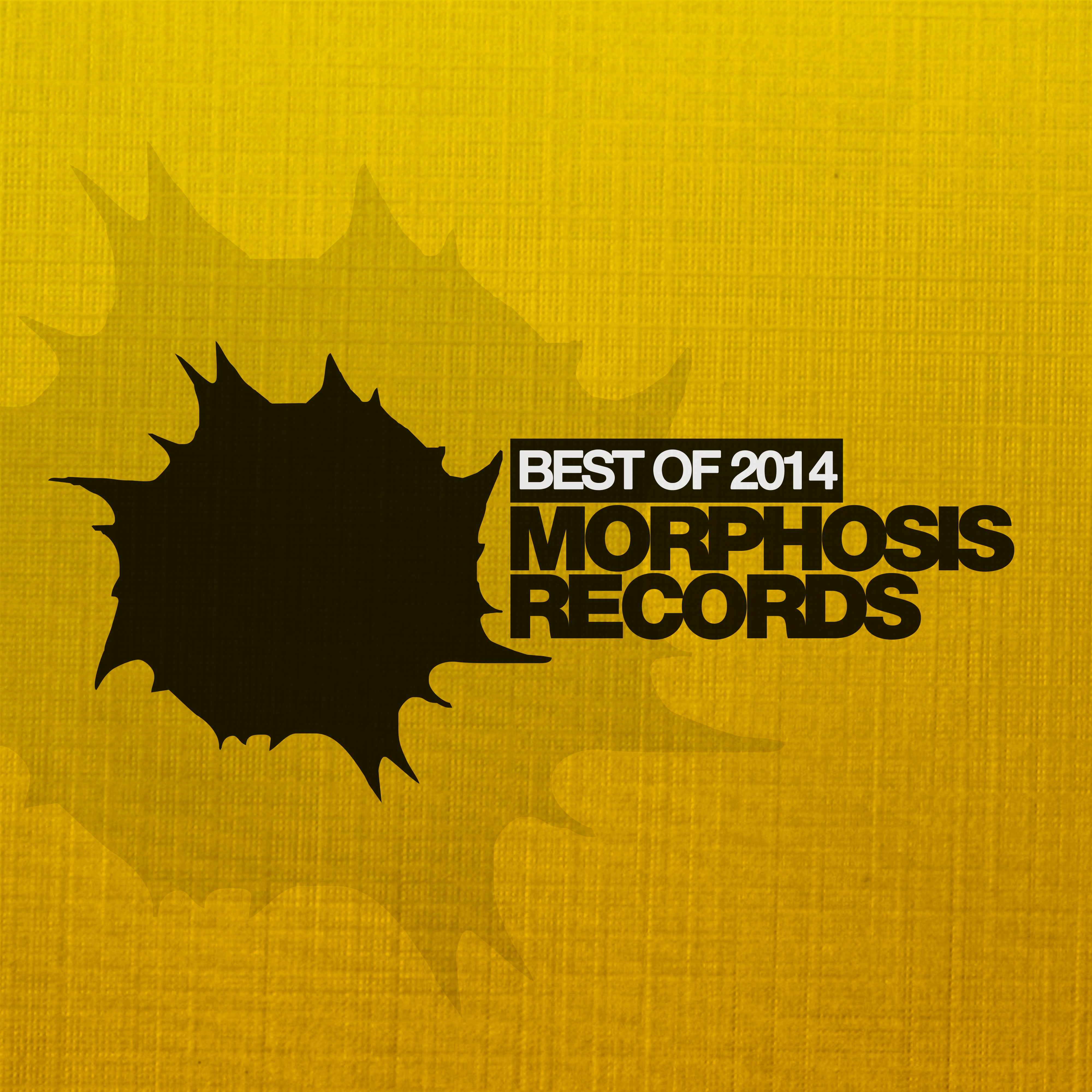 Best of Morphosis 2014