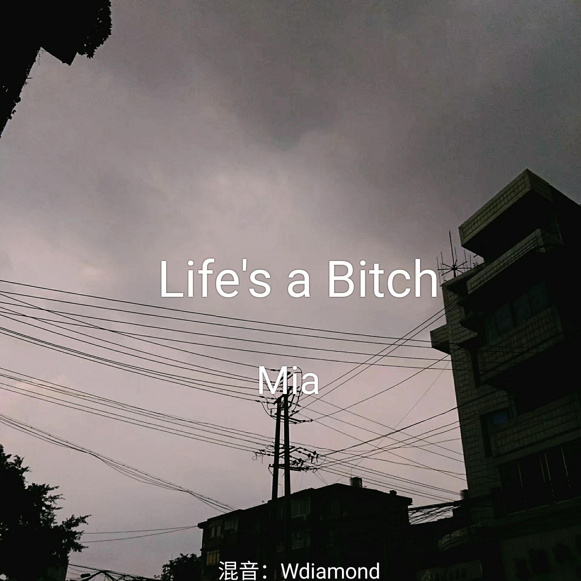 life`s a bitch