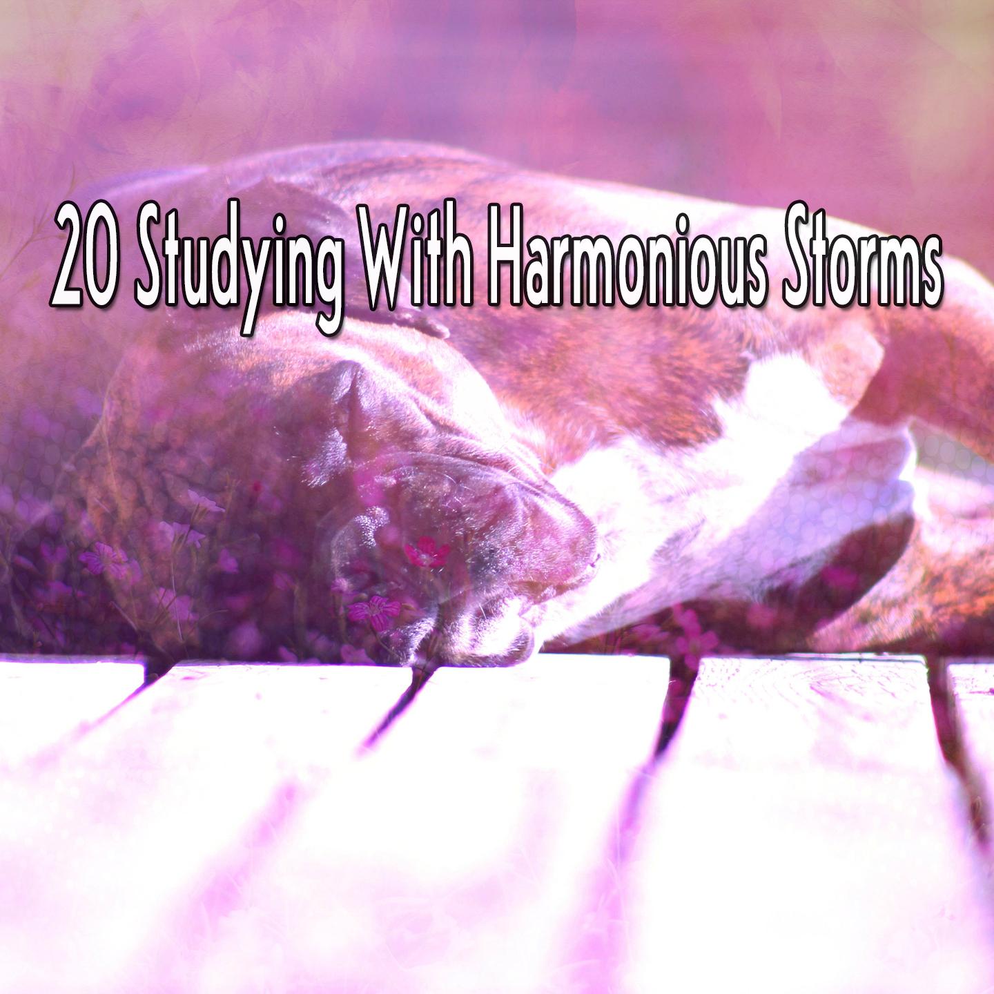 20 Studying With Harmonious Storms