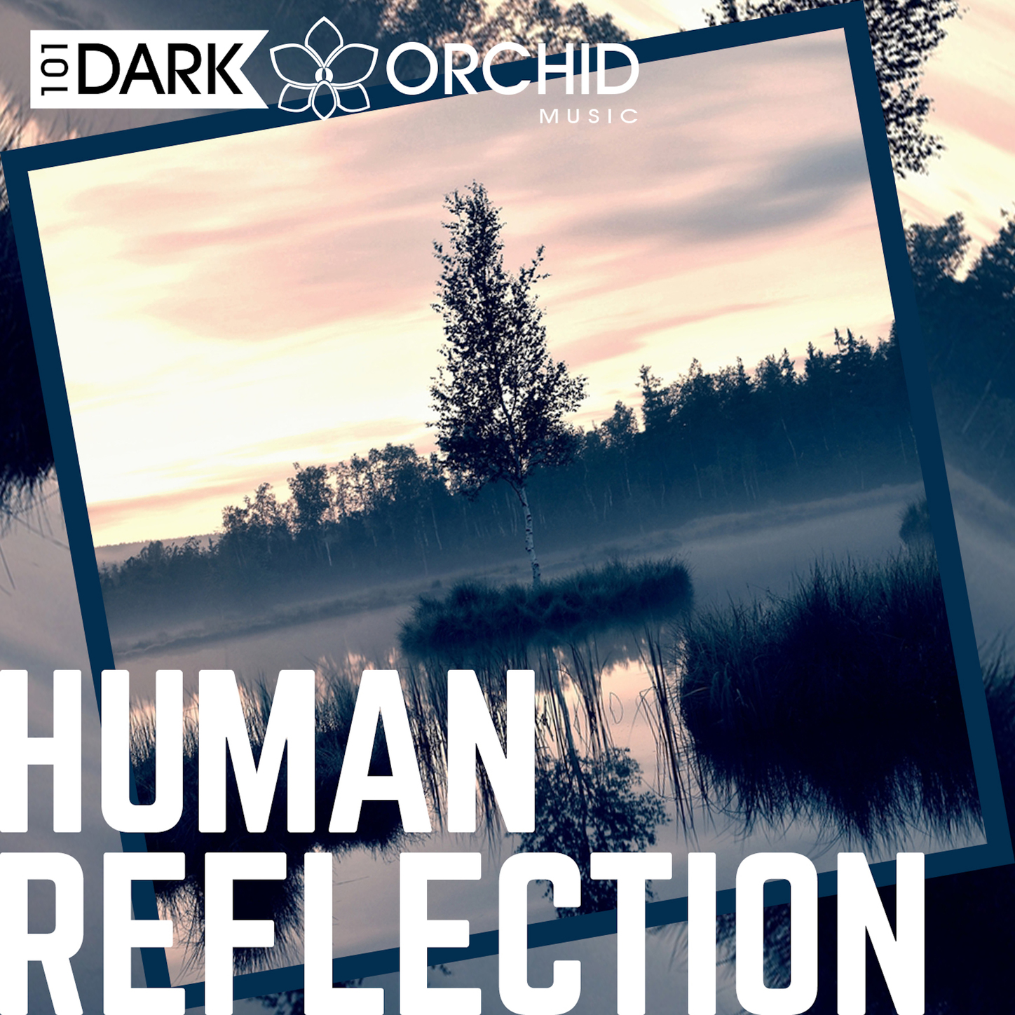 Human Reflection