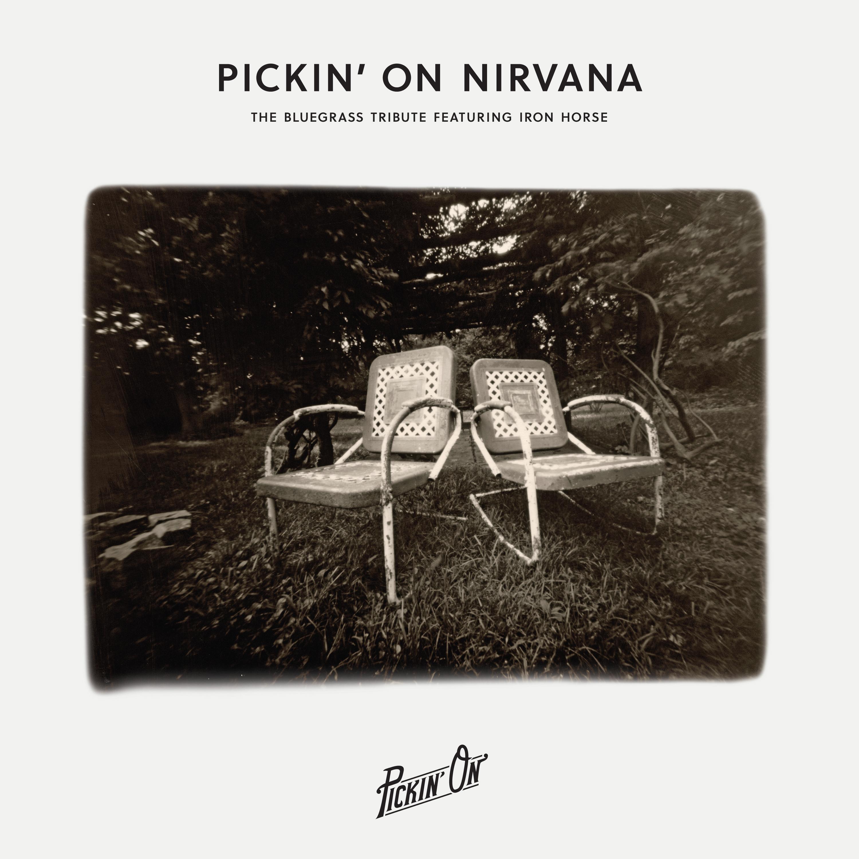 Pickin' On Nirvana