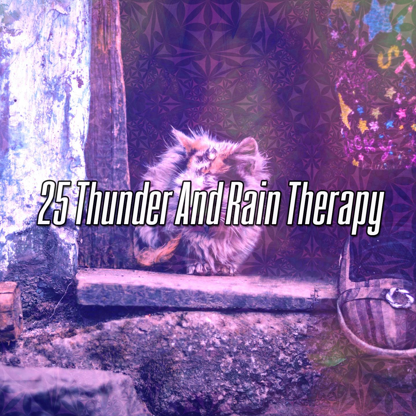 25 Thunder And Rain Therapy
