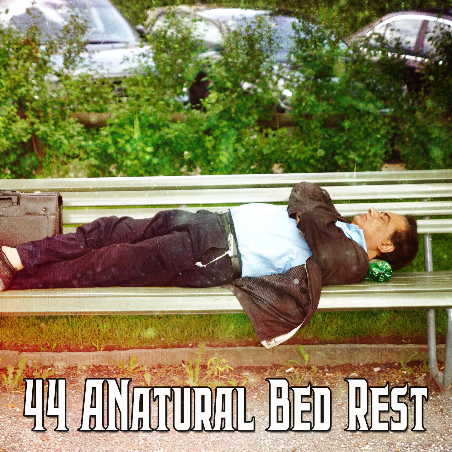 44 A Natural Bed Rest