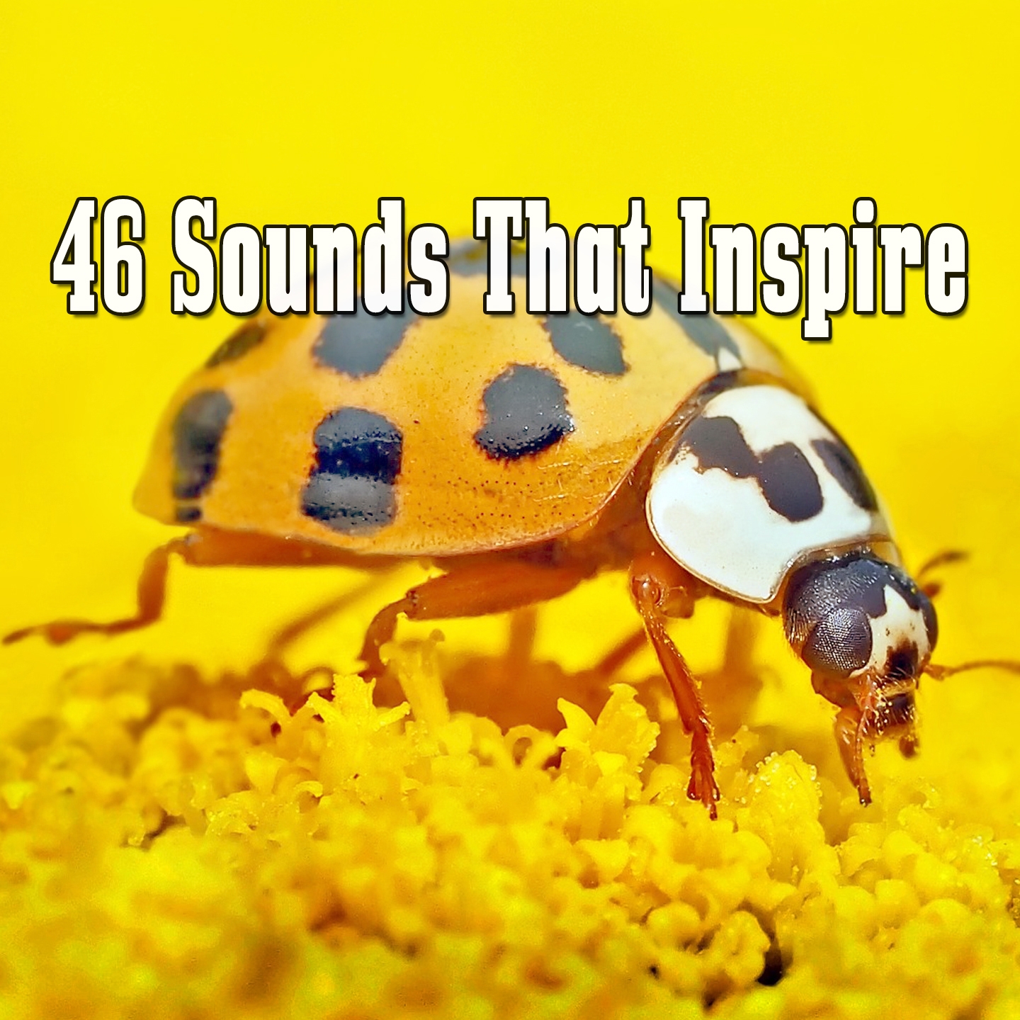 46 Sounds That Inspire