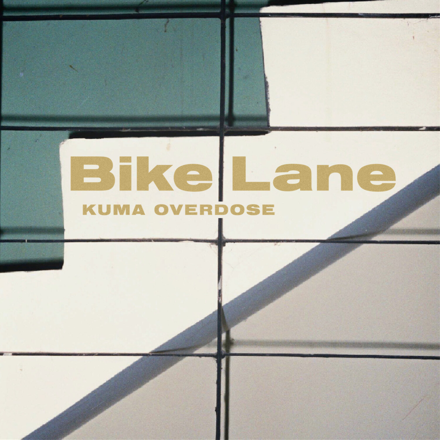 Bike Lane