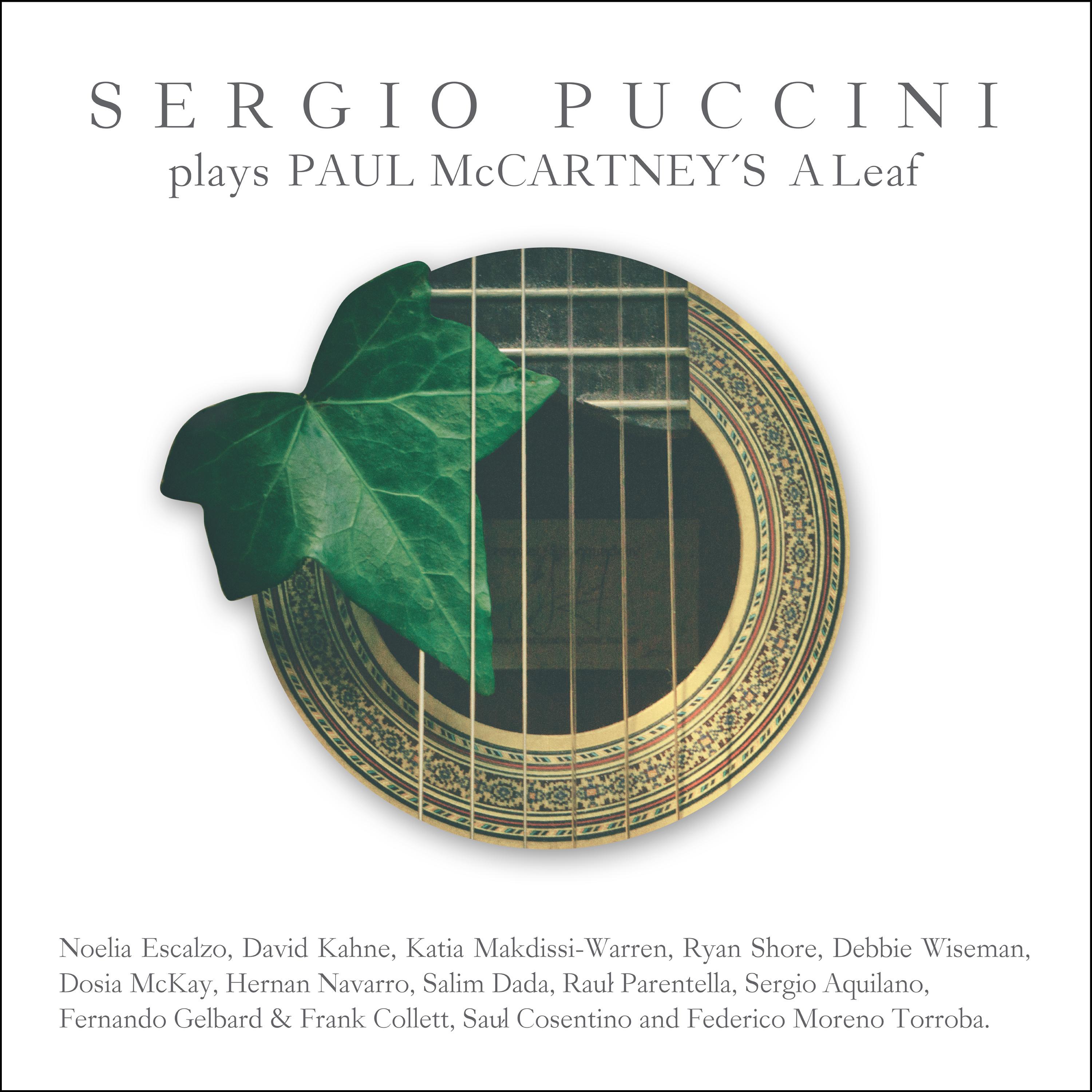 Sergio Puccini Plays Paul McCartney´s a Leaf