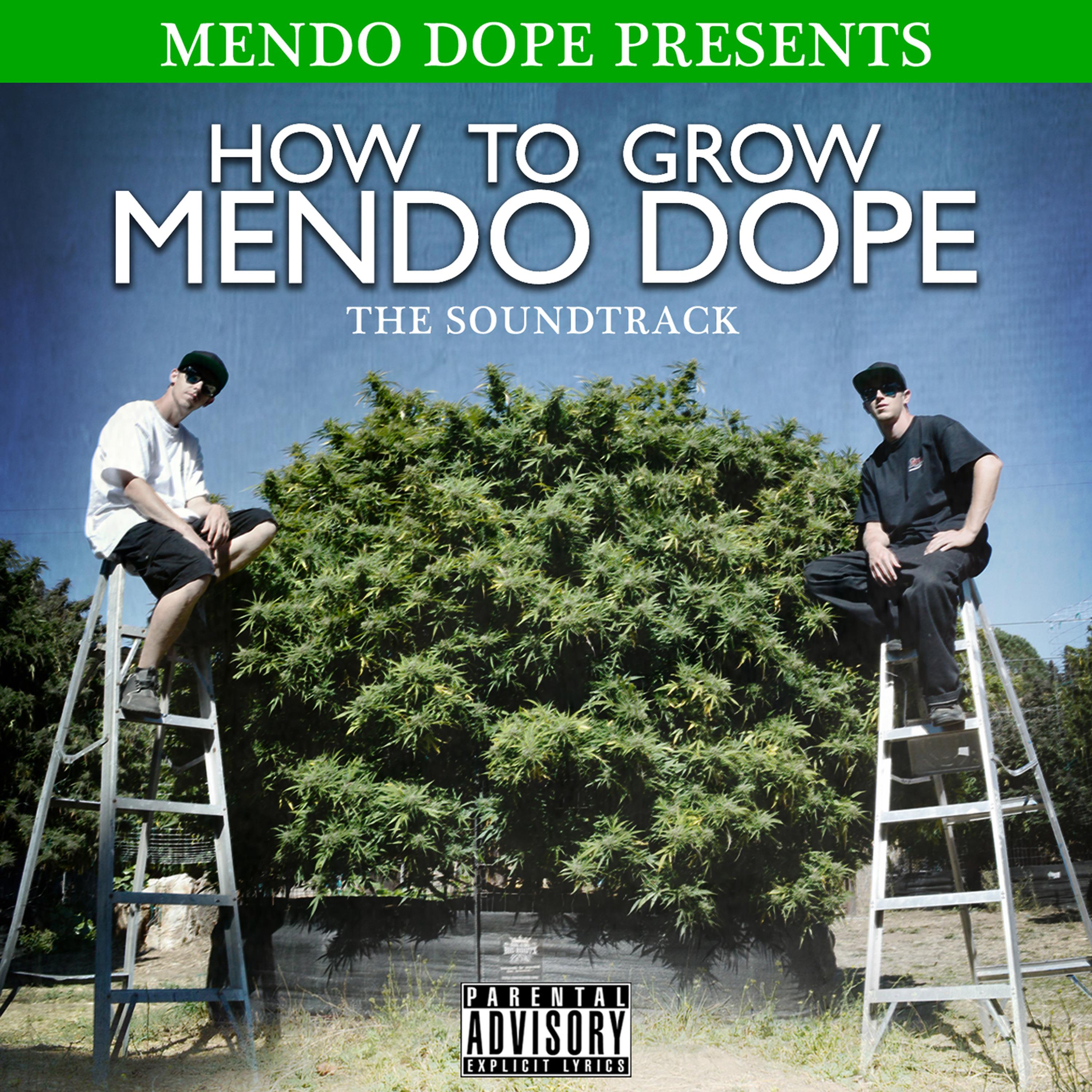 How to Grow Mendo Dope (Soundtrack)