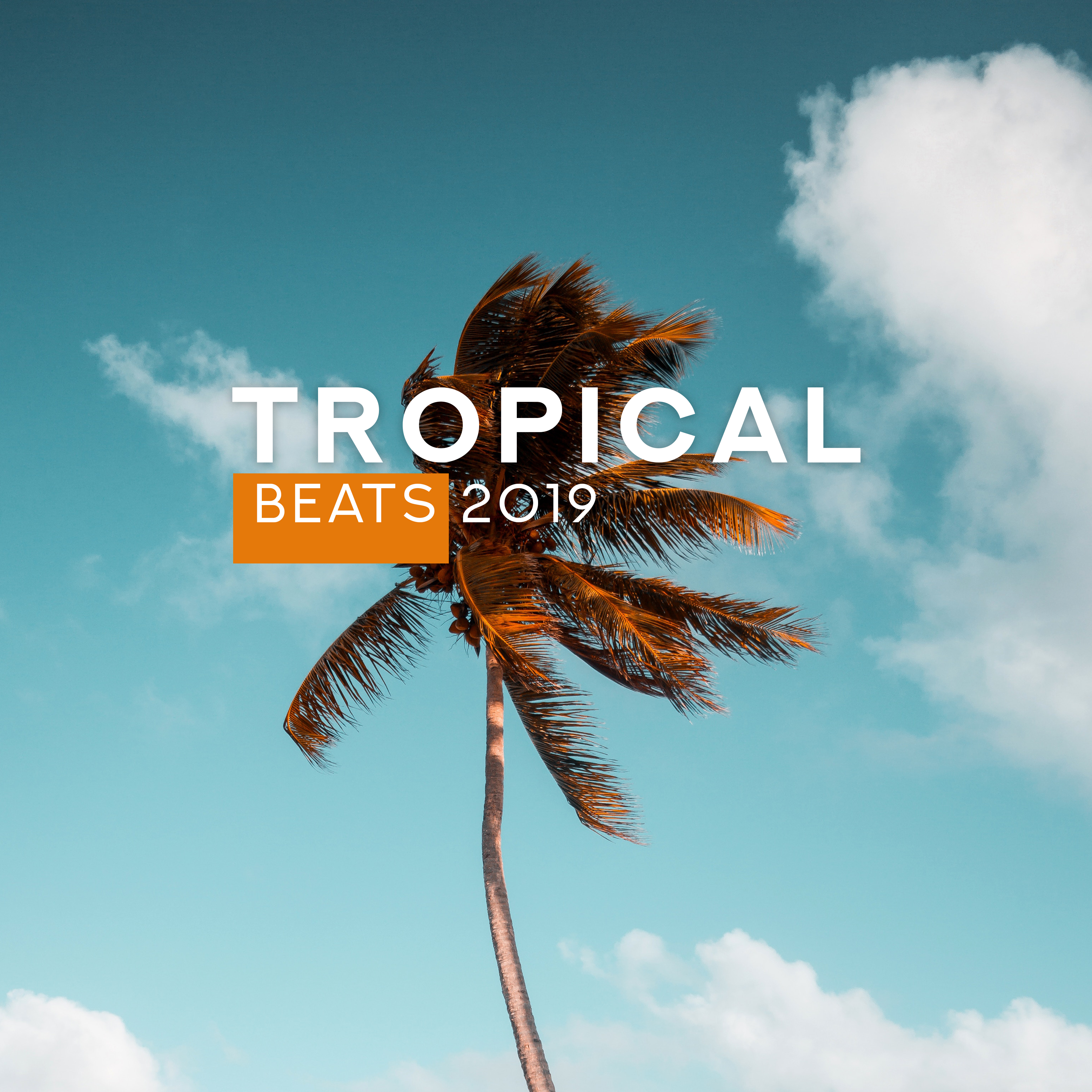 Tropical Beats 2019