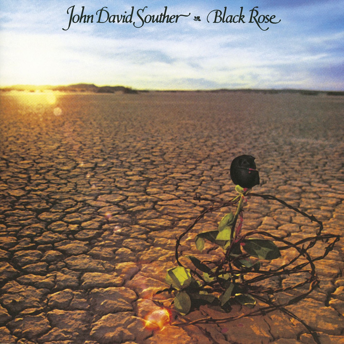 Black Rose (Album Version)