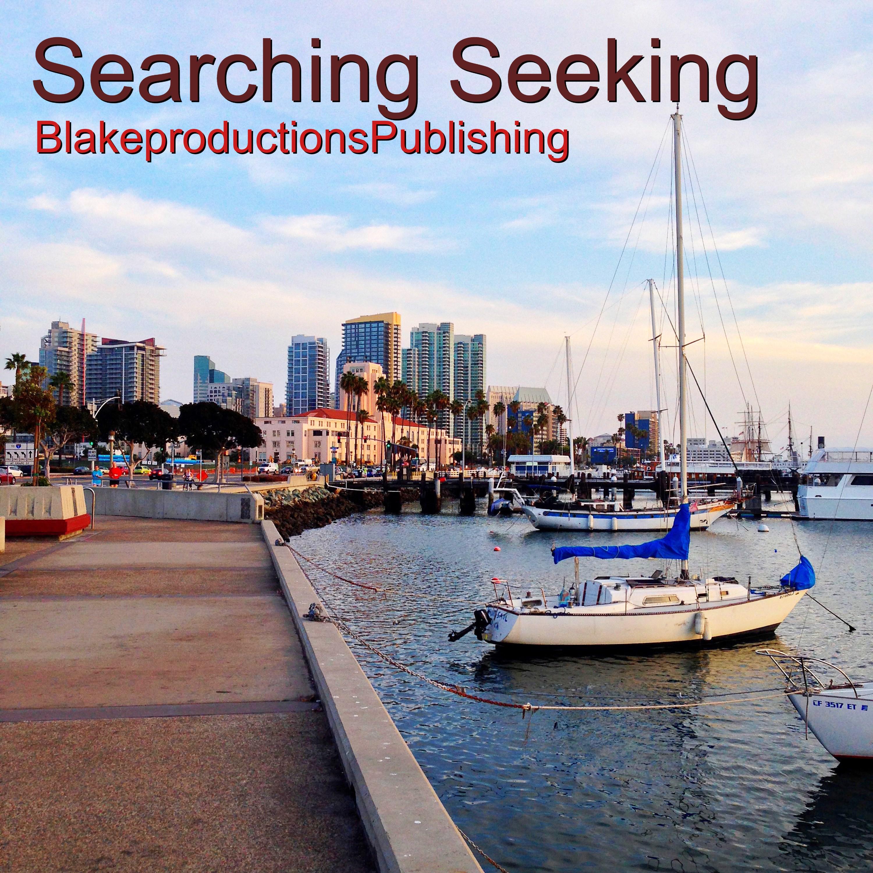 Searching Seeking