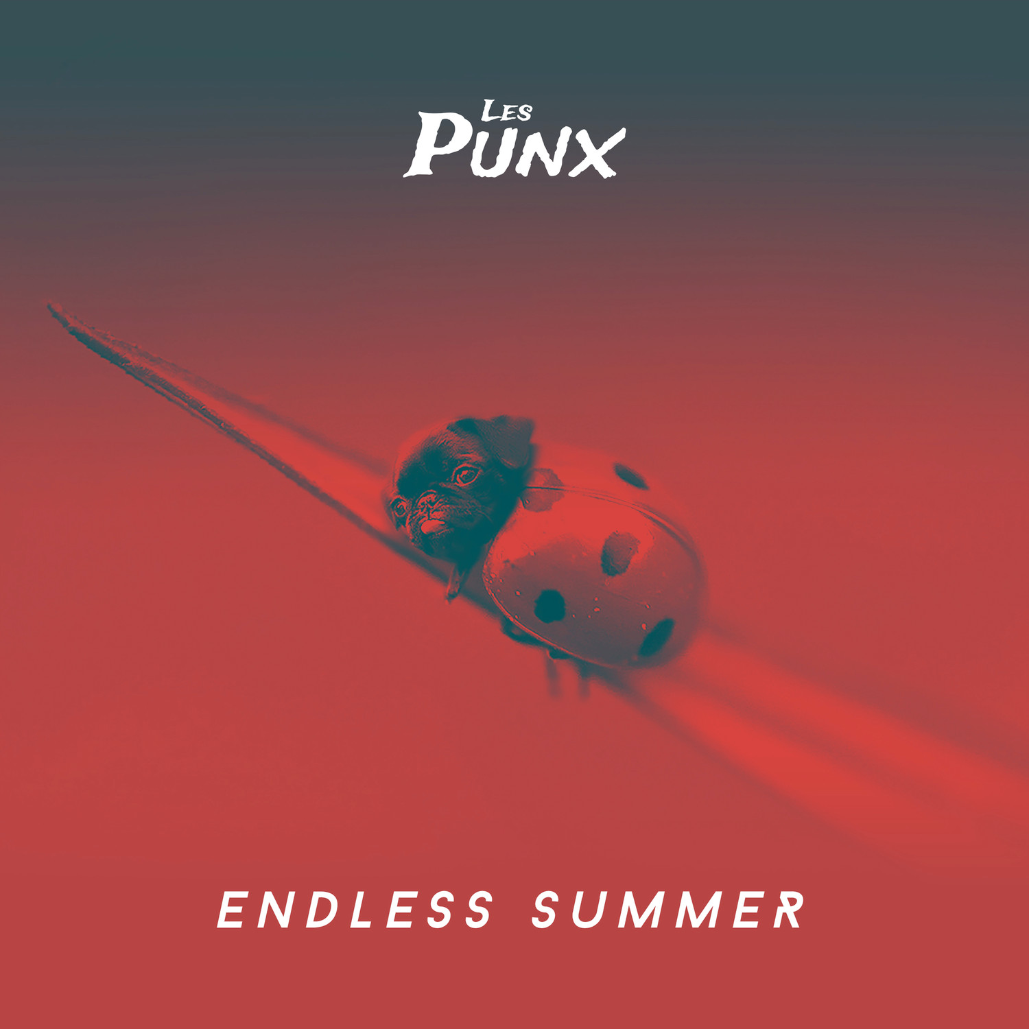 Endless Summer