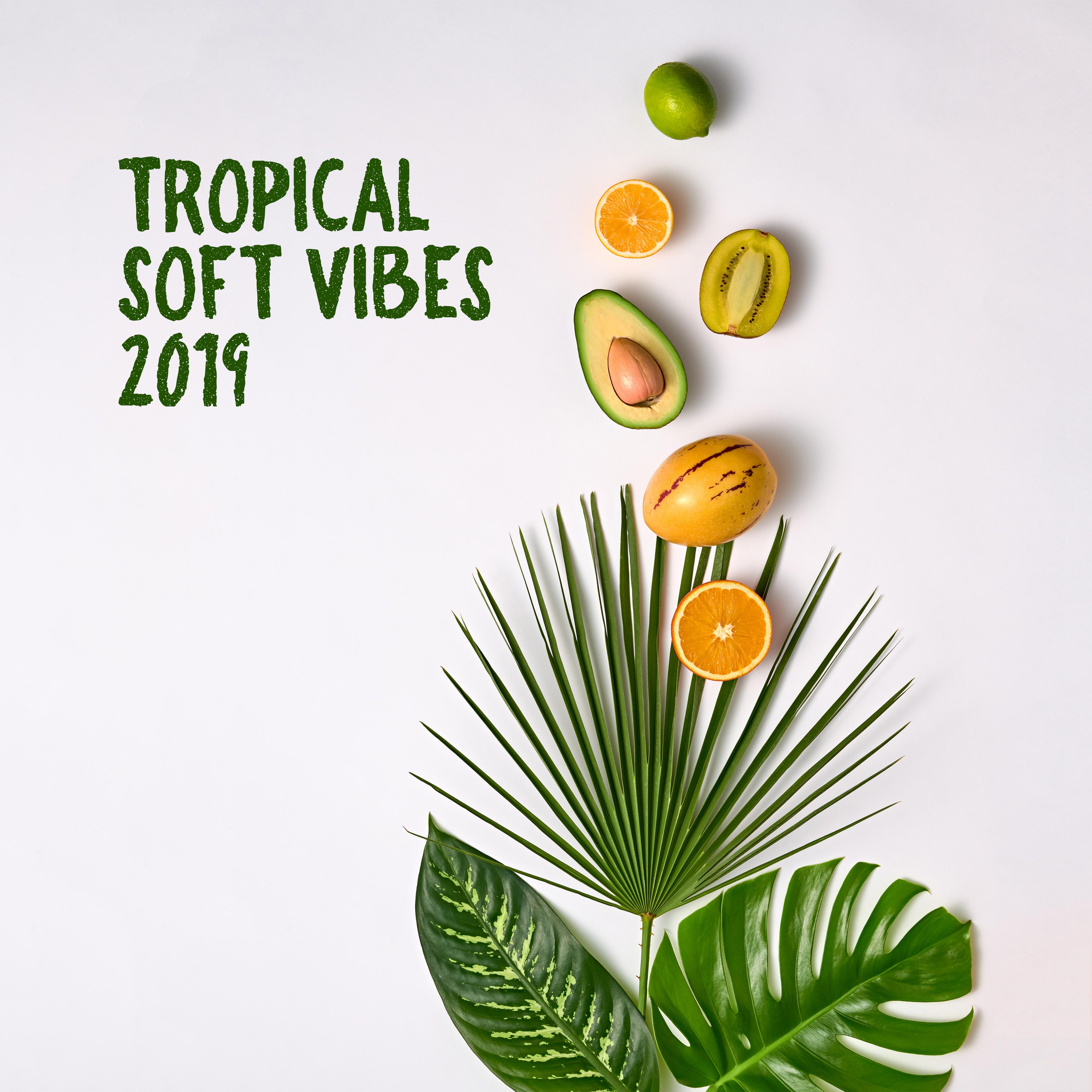 Tropical Soft Vibes 2019 – Ibiza Chill Out, Beach Music, Summer Chill 2019, **** Vibes, Relax Zone