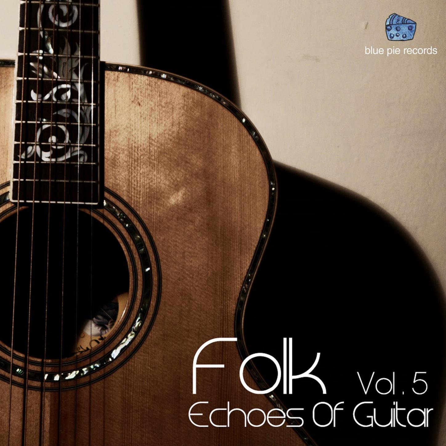 Echoes of Guitar Vol, 5