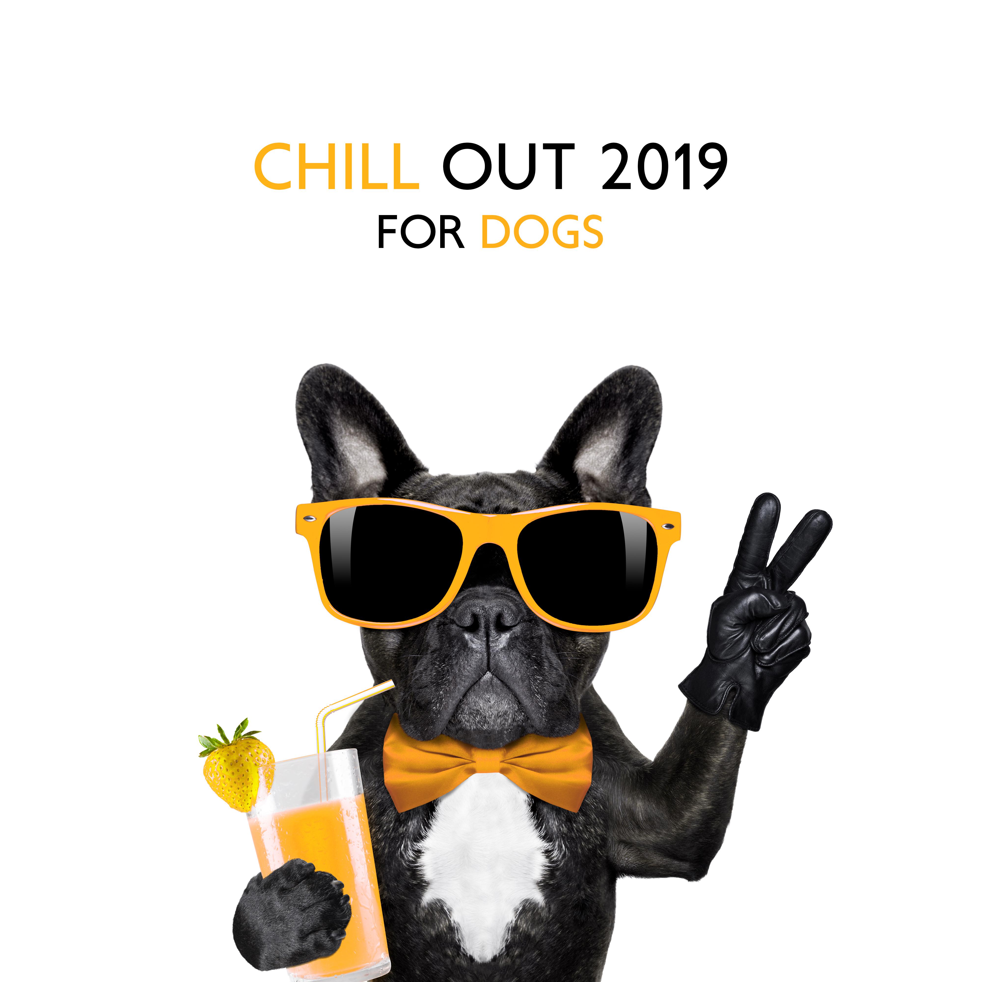Chill Out 2019 for Dogs – Relaxing Beats for Pets, Summertime 2019, Holiday Beats for Dogs, Summer Hits, Perfect Relax Zone