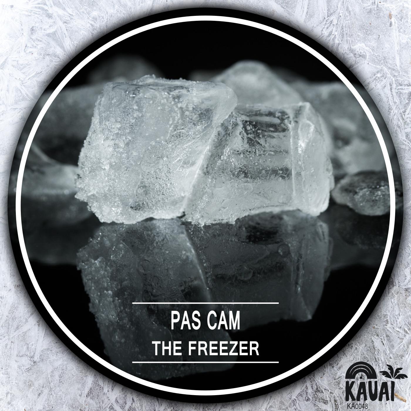 Pas Cam - The Freezer.wav