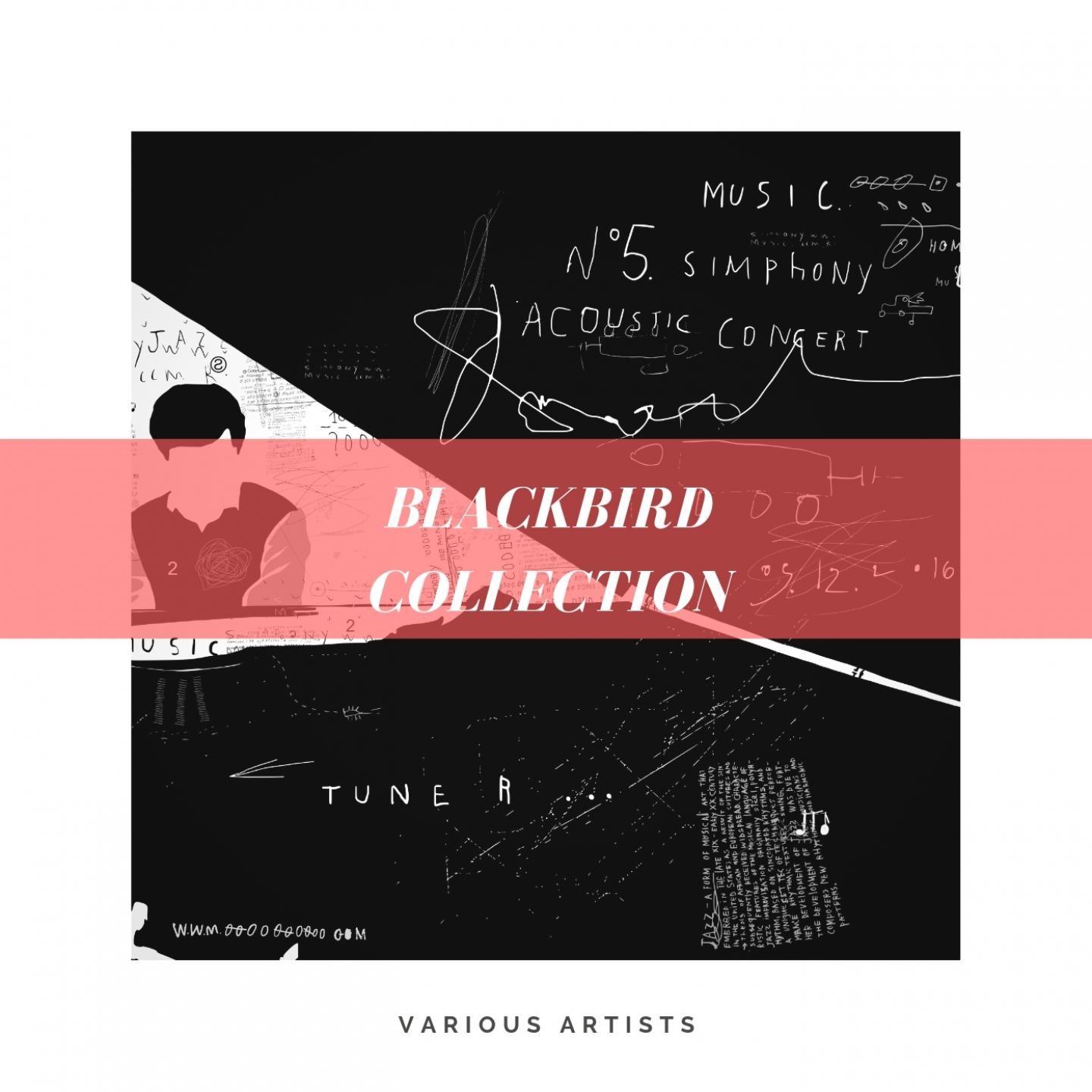 Blackbird Collection