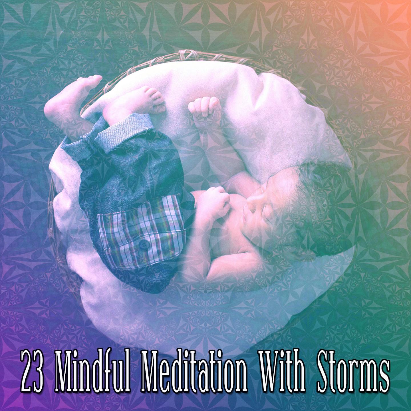 23 Mindful Meditation with Storms