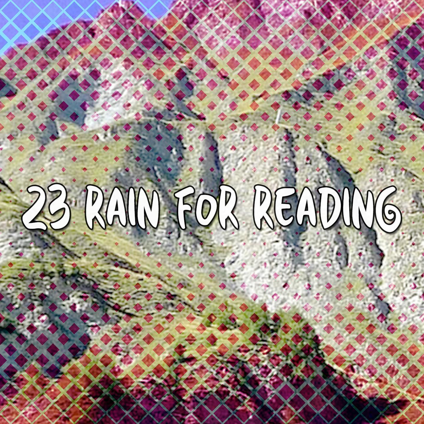 23 Rain for Reading