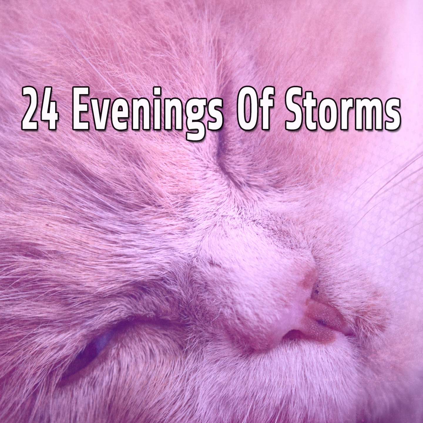 24 Evenings of Storms
