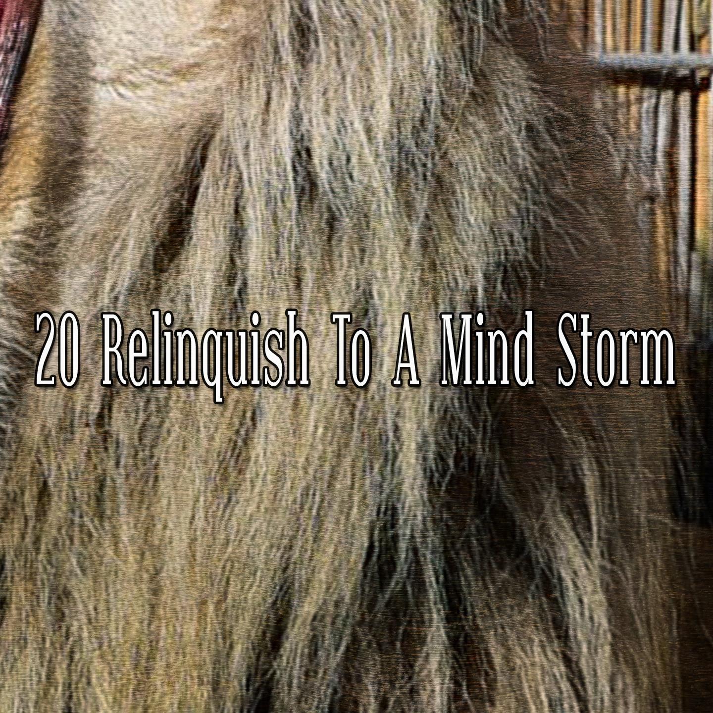 20 Relinquish to a Mind Storm