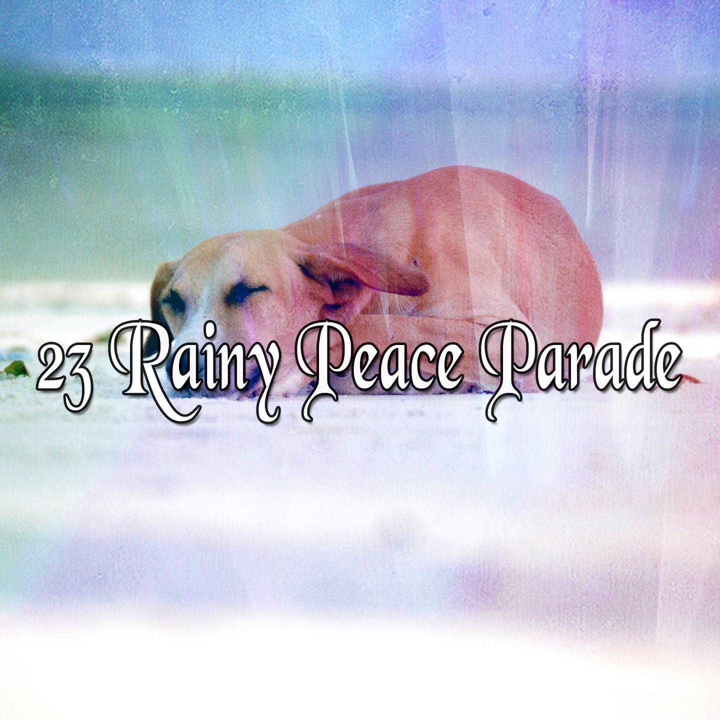 23 Rainy Peace Parade