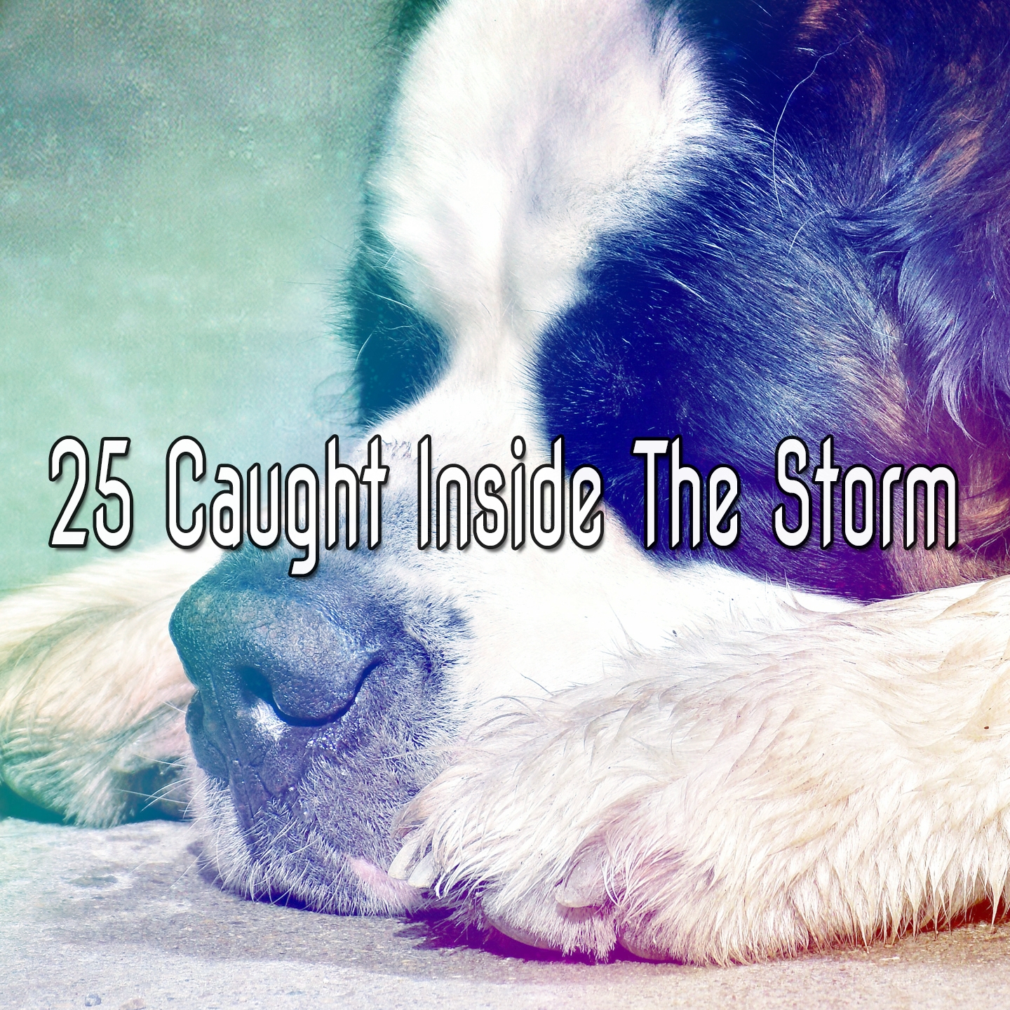 25 Caught Inside the Storm