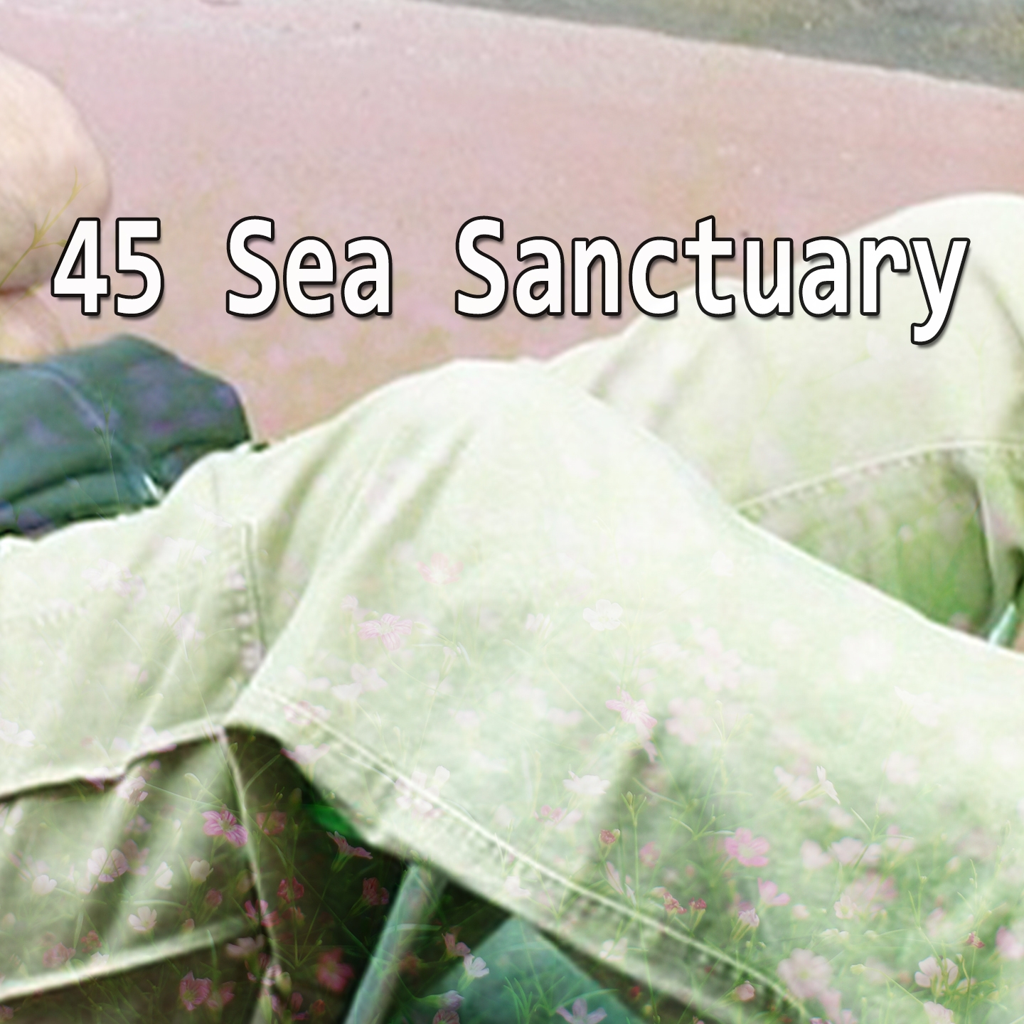 45 Sea Sanctuary