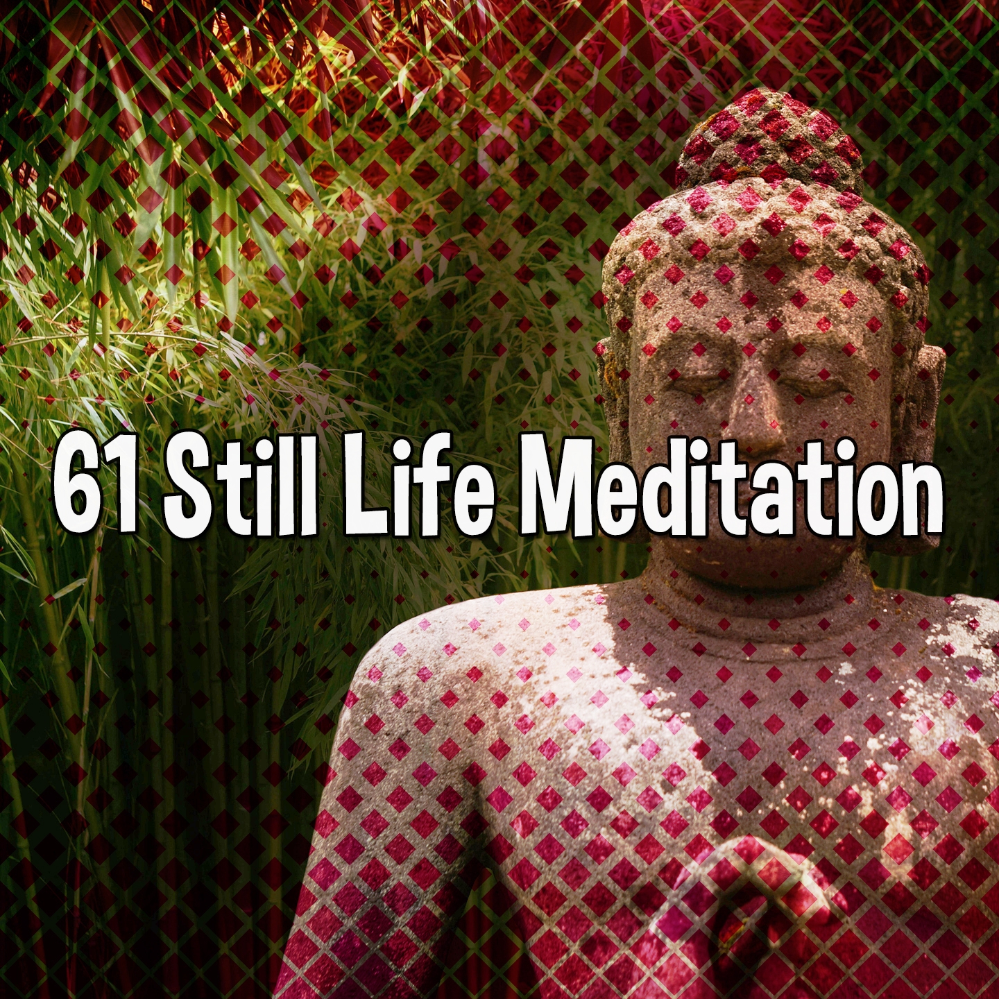 61 Still Life Meditation