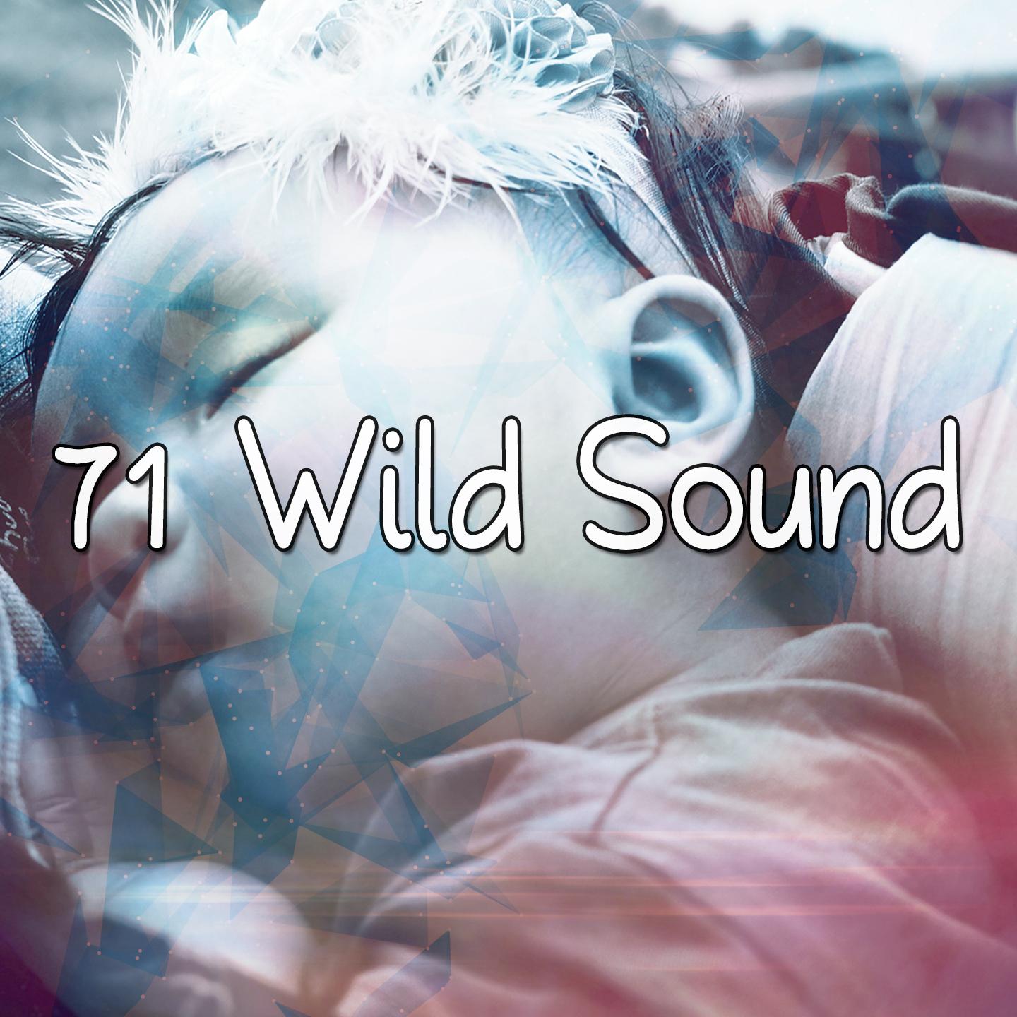 71 Wild Sound