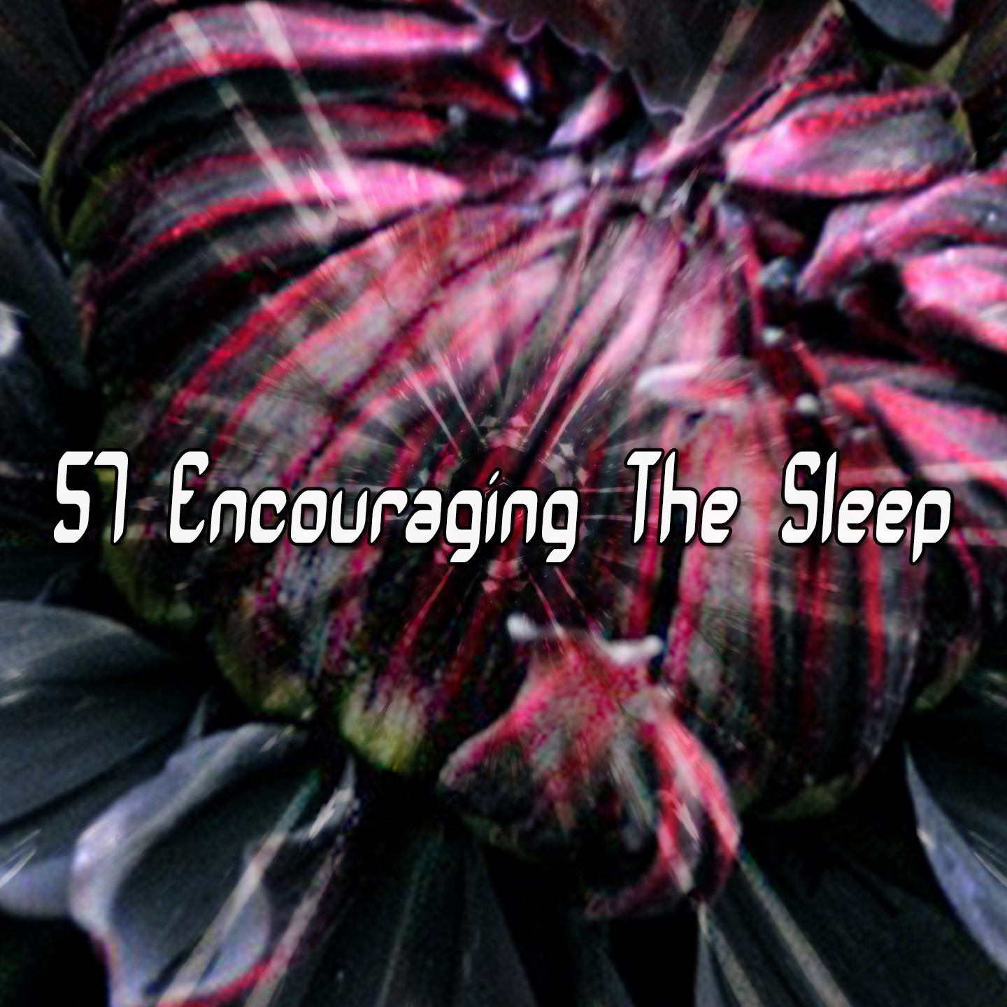 57 Encouraging the Sleep