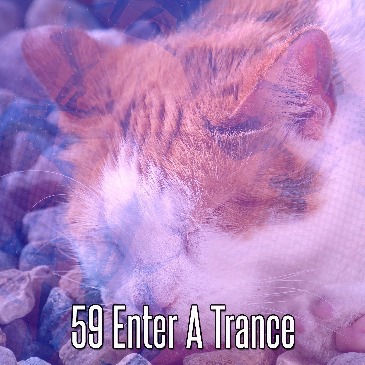 59 Enter A Trance