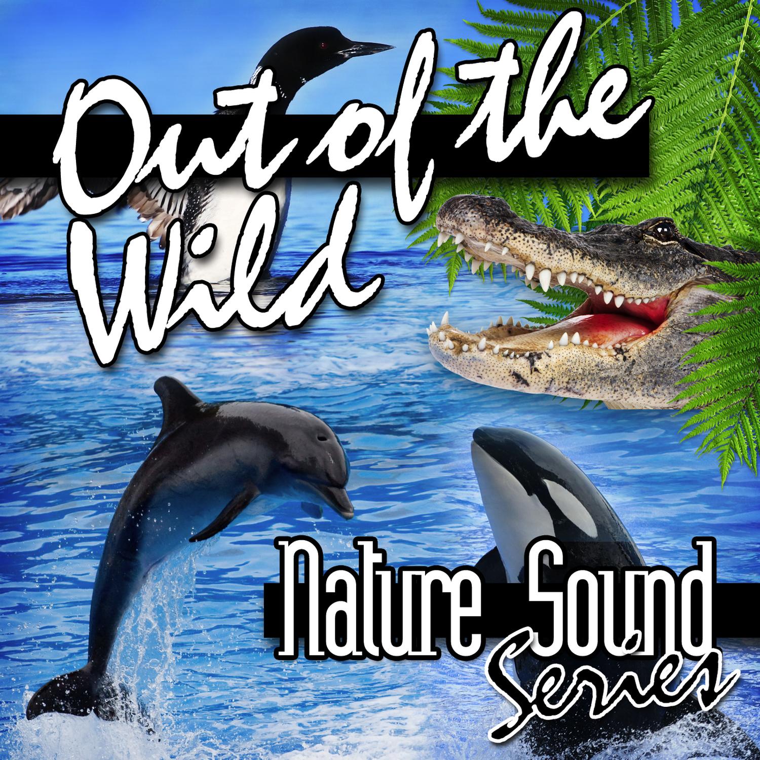 Out of the Wild (Nature Sounds)