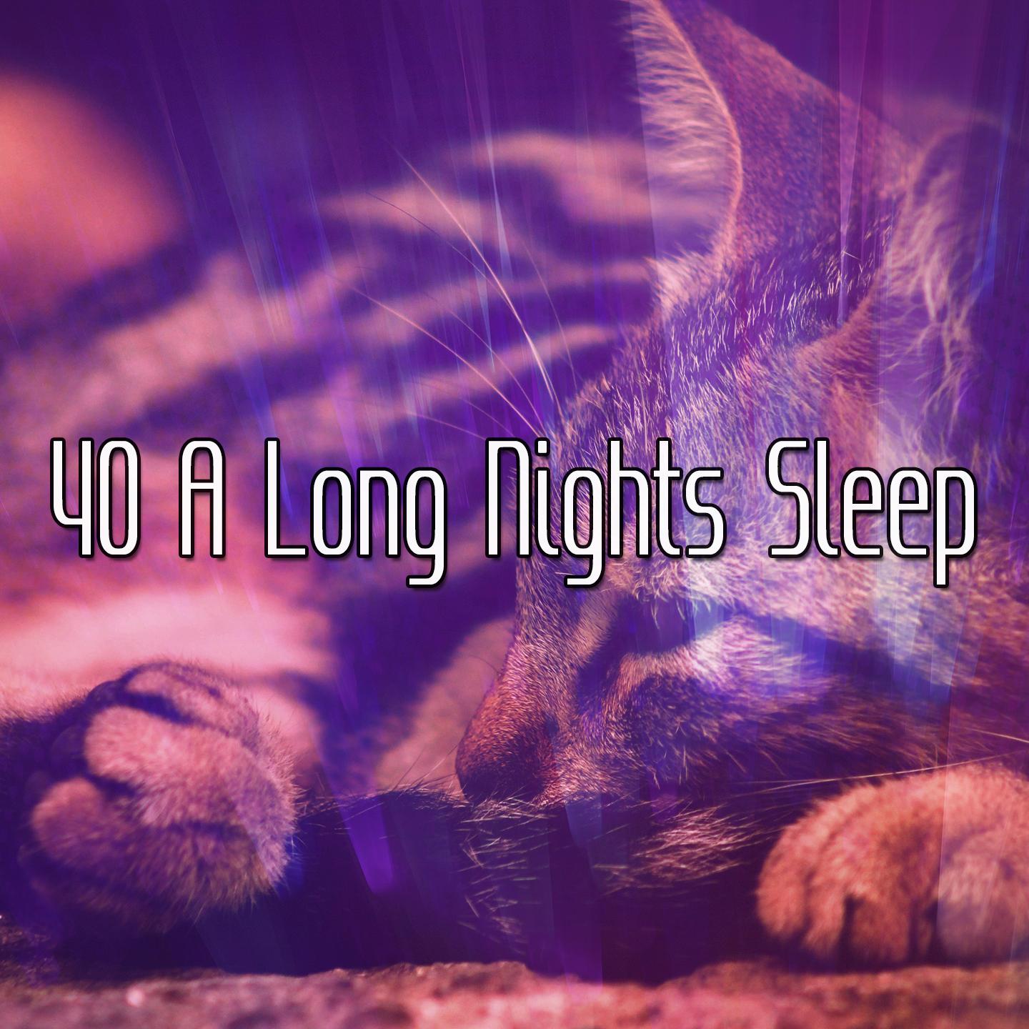 40 A Long Nights Sleep