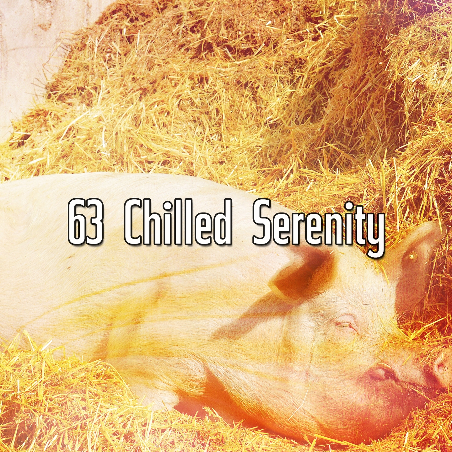 63 Chilled Serenity