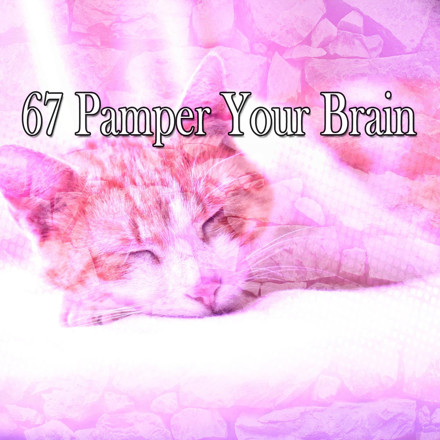 67 Pamper Your Brain