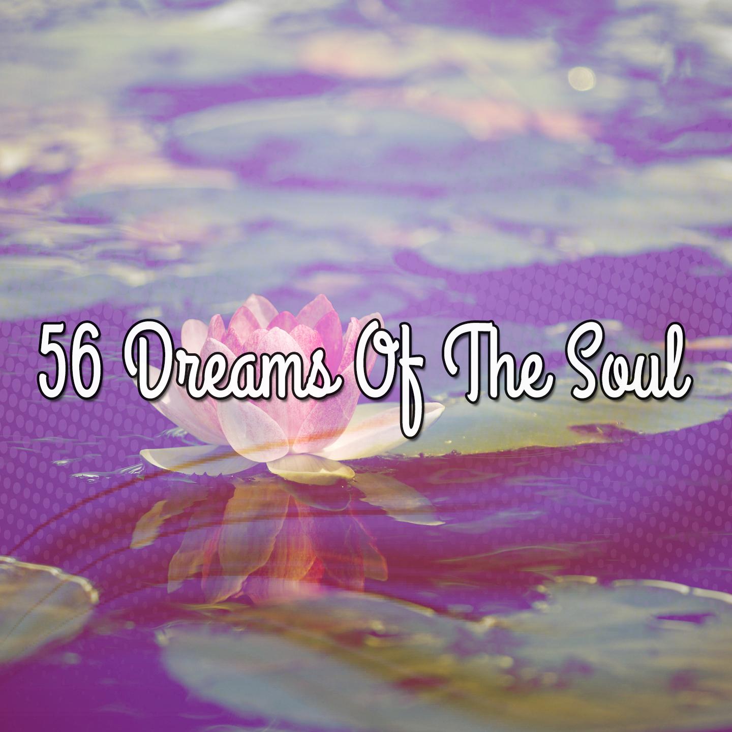56 Dreams Of The Soul
