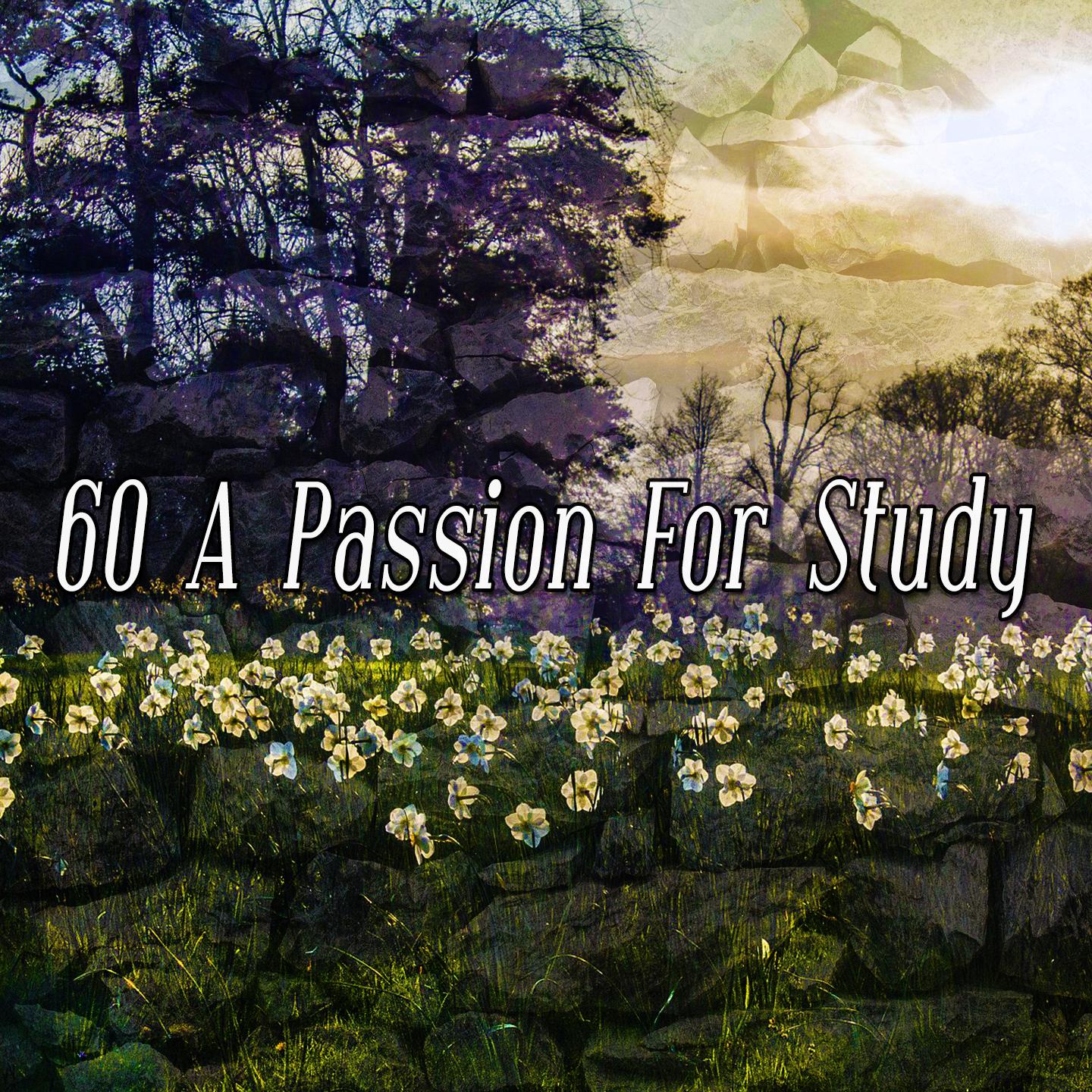 60 A Passion For Study