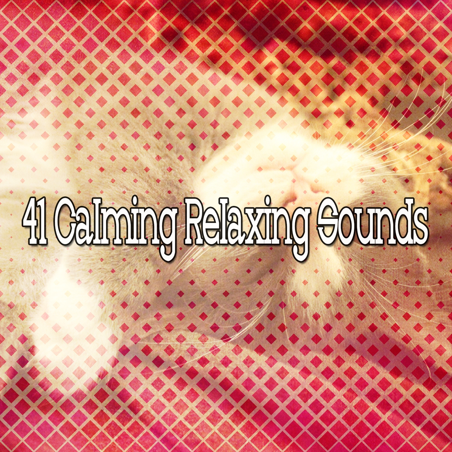 41 Calming Relaxing Sounds