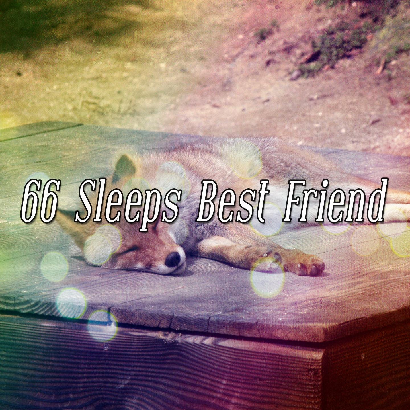 66 Sleeps Best Friend